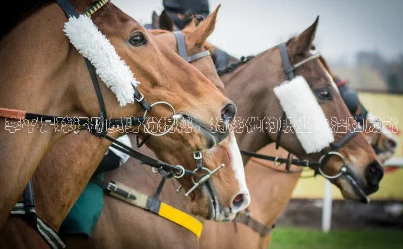 天富注册官网登录百度移动开放平台李平足球运动员身份揭秘，揭秘他的职业生涯和成就