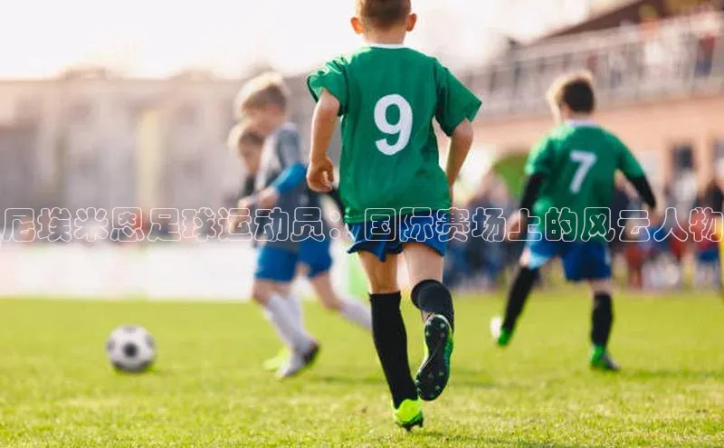 天富平台登录注册ARGA公司尼埃米恩足球运动员：国际赛场上的风云人物