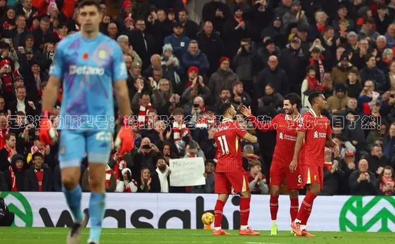 天富测速登录地址阿里尔公司足球运动服型号：详细解析各种款式名称，让你一目了然！