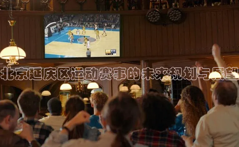 天富平台官网注册链接慧博云通北京延庆区运动赛事的未来规划与展望