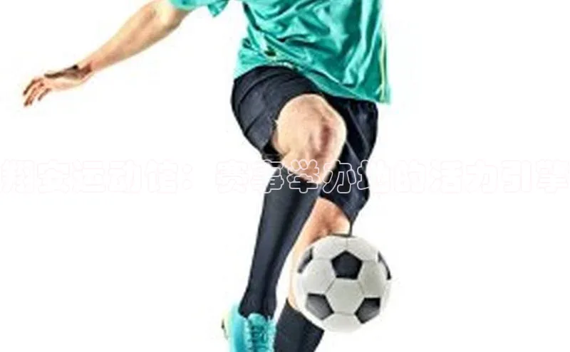 翔安运动馆：赛事举办地的活力引擎