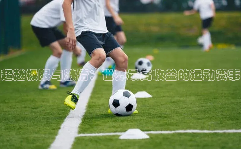 超越极限与激情：世界最高收益的运动赛事