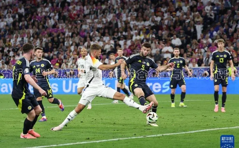 分析：当前热门运动赛事的含金量与影响力评估