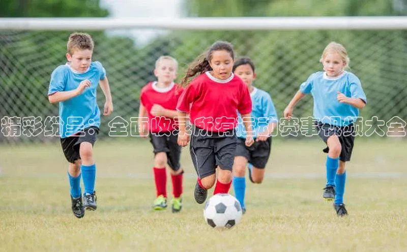 精彩纷呈：全面收录所有运动赛事视频大全