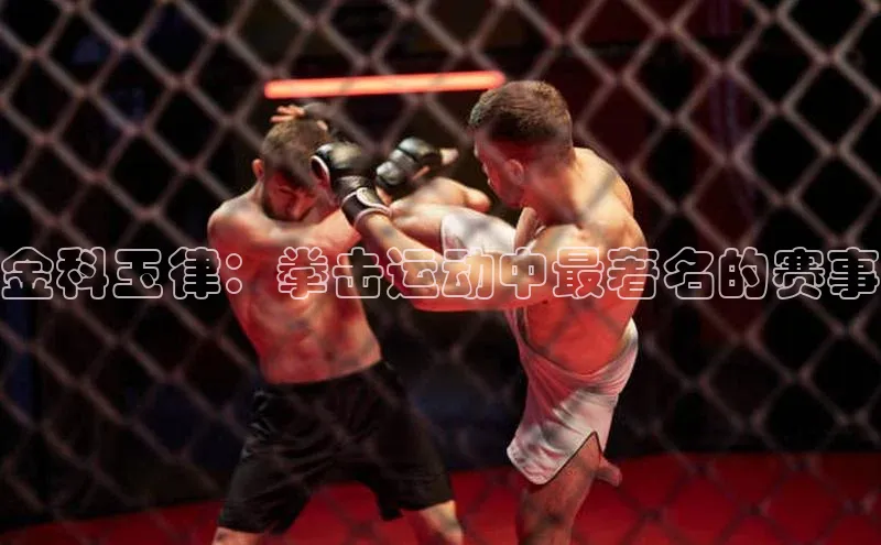 金科玉律：拳击运动中最著名的赛事
