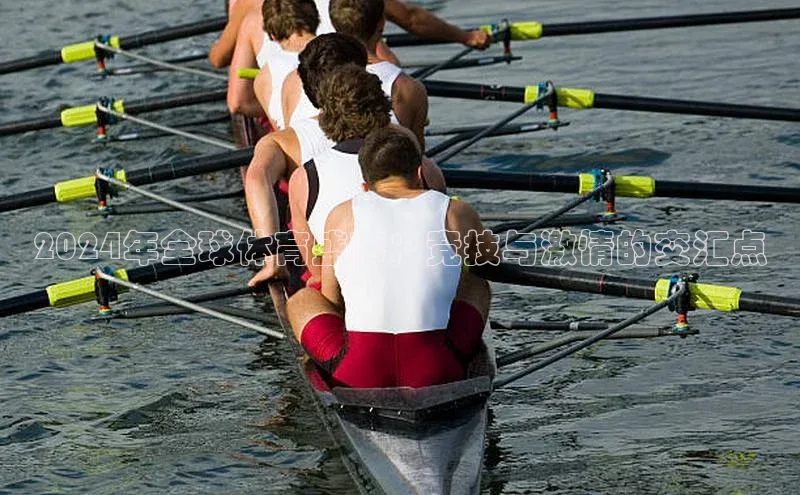 2024年全球体育盛事：竞技与激情的交汇点