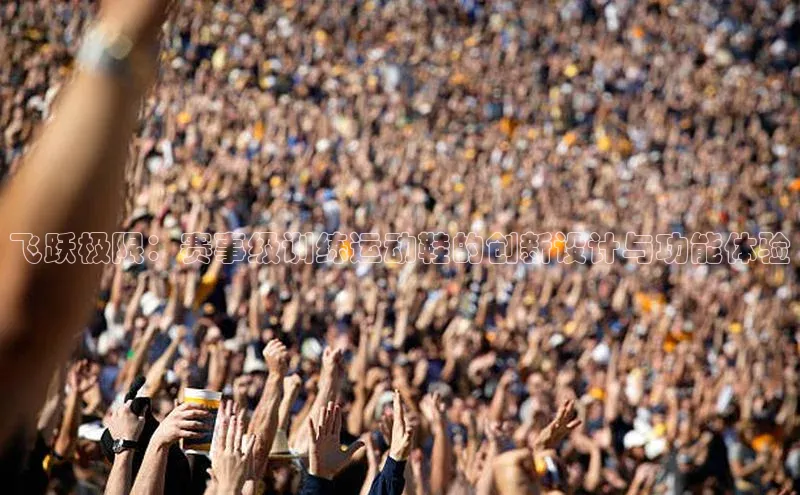 飞跃极限：赛事级训练运动鞋的创新设计与功能体验